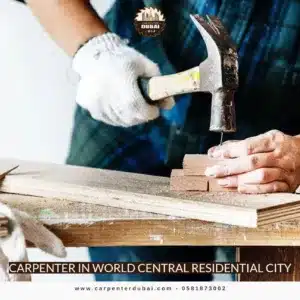 Carpenter in World Central Residential City